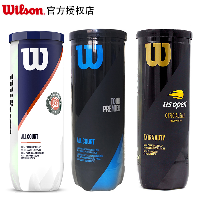 Wilson Wilson Willy wins Roland Garros French Open tennis competition tennis full court professional ball