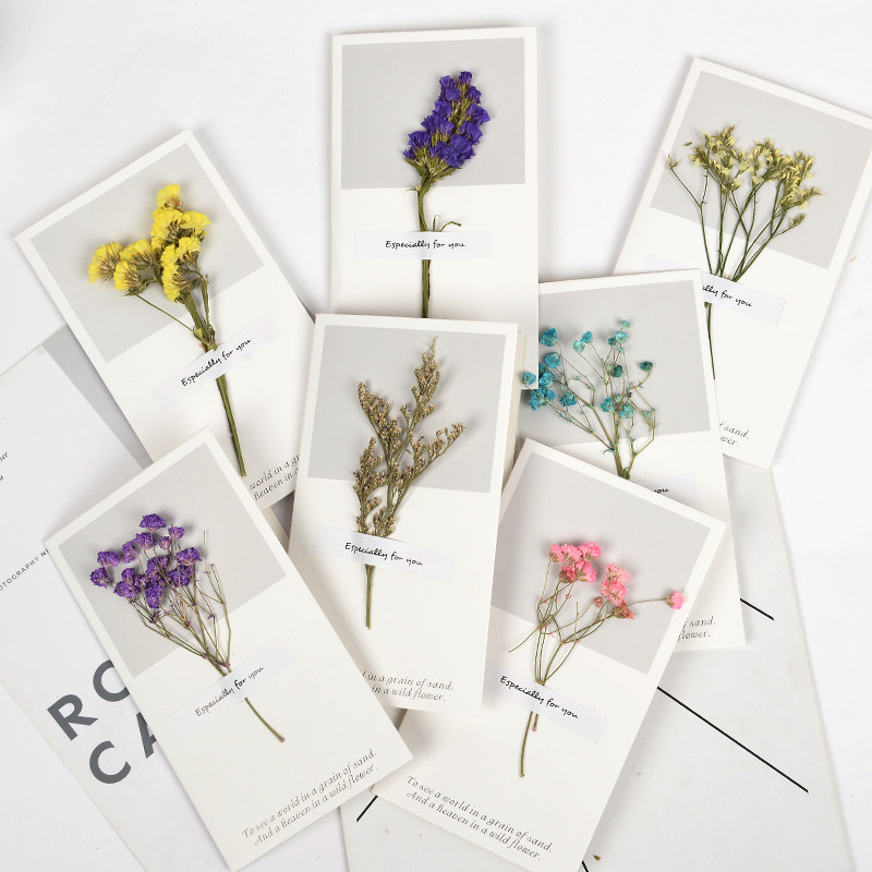 DIY Album Blast Box Decoration Stickers Dry Flowers Real Flowers Greeting Cards Handbills Small Stickers