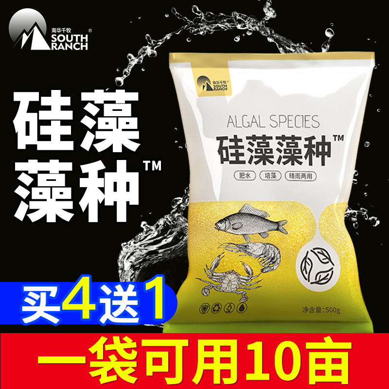 Diatom algae species aquaculture chlorella green diatom diatom species fish shrimp crab pond aquatic compound algae seed fertilizer hydroponic algae