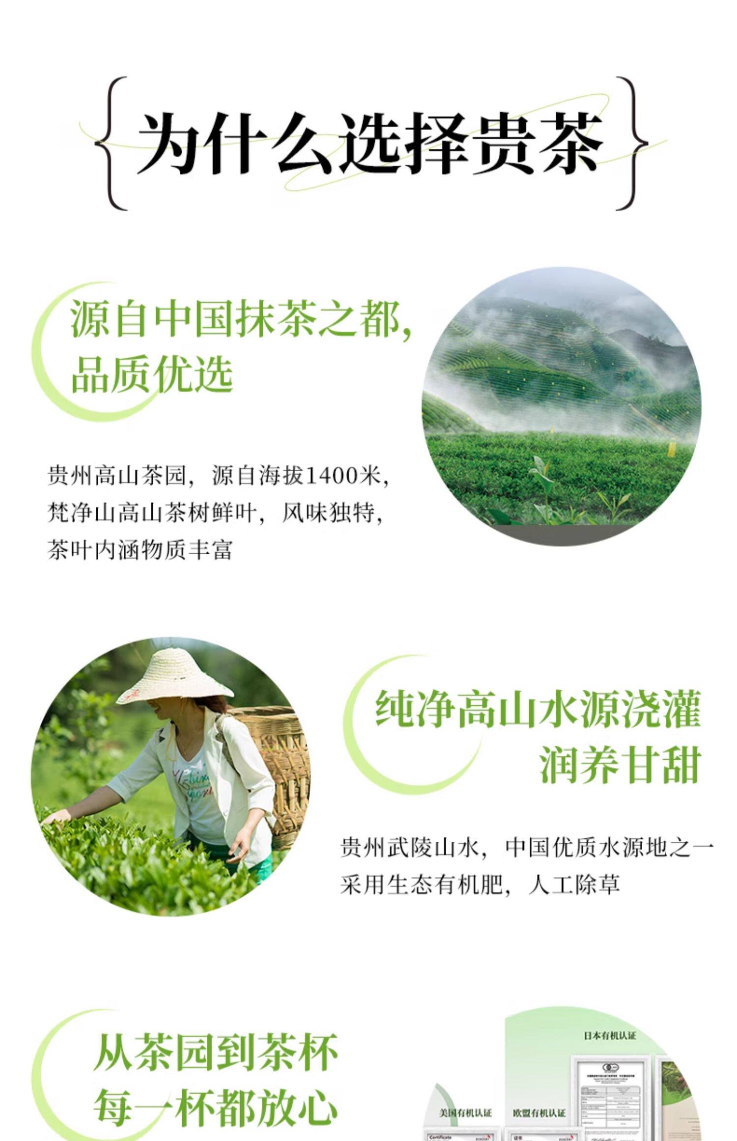 【中國直郵】 貴茶 抹茶粉1.5g*30小包 0添加糖飲品 拿鐵烘焙調飲