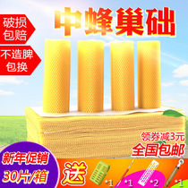 Beekeeping tools Daquan Beehive in the hive Base nest box Nest base nest spleen Bee beehive Full set of beekeeping tools