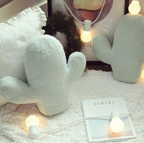 ins the same modern Nordic minimalist Cactus Office Lunch Hug Pillow Back Cushion Sofa Car Decoration Hug