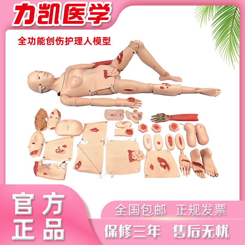 力凯H111全功能创伤护理模拟人消毒包扎急救口鼻饲法应急演练假人