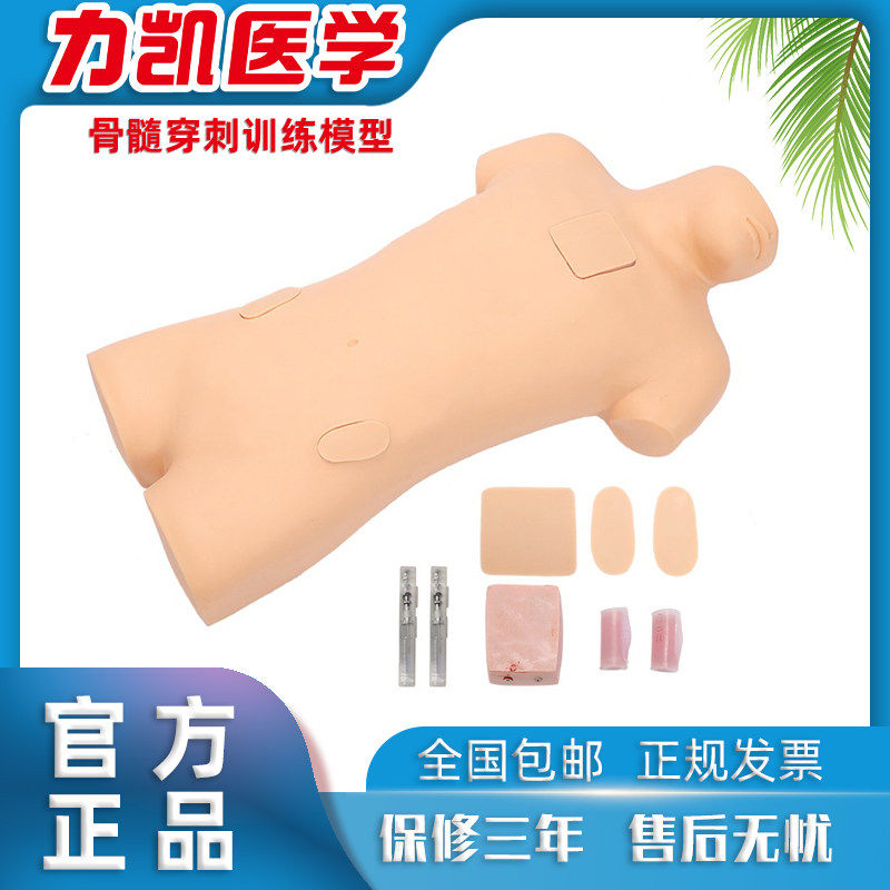 力凯医学LK-CK816骨髓穿刺训练模型成人胸骨髂骨抽取骨髓液模拟人