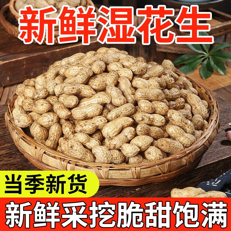 新鲜花生生花生带壳新鲜现挖现发湿花生当季新货粉白皮农家生花生-新鲜花生-淘宝百科网