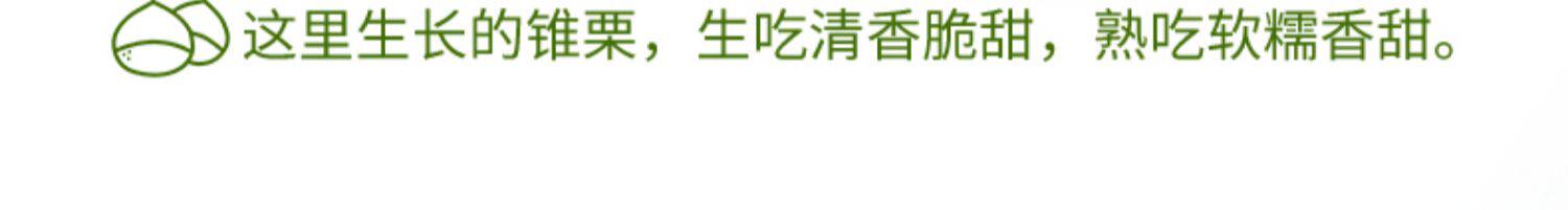 【中国直邮】 爱生活 建瓯锥栗  板栗  农家现摘  中果直径约(2.0-2.3cm)  500g/袋