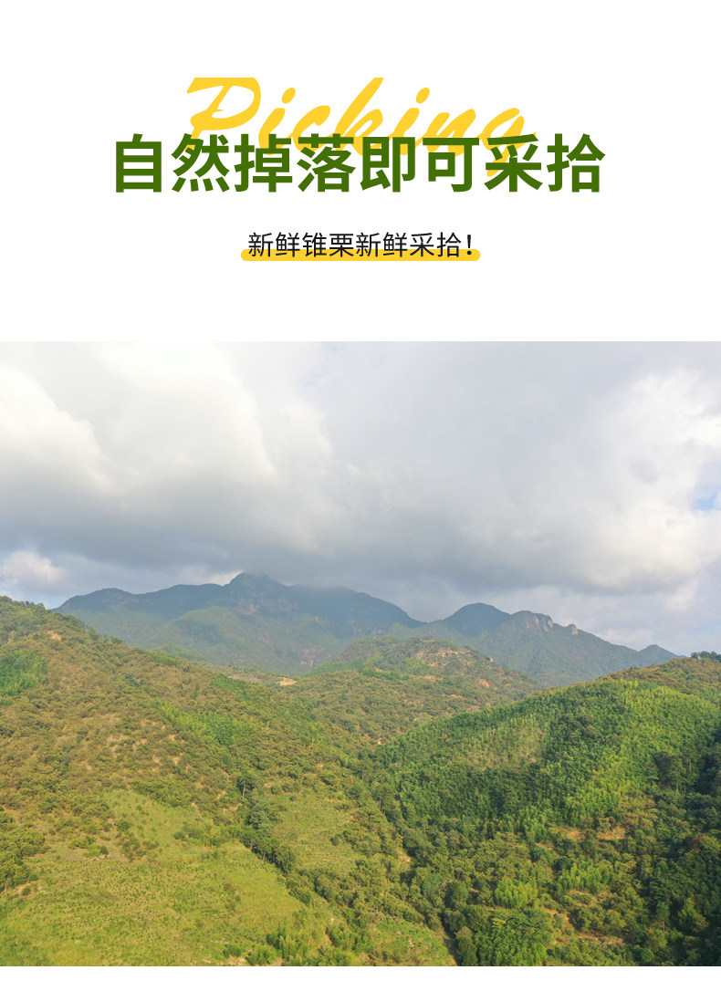 【中国直邮】 爱生活 建瓯锥栗  板栗  农家现摘  中果直径约(2.0-2.3cm)  500g/袋