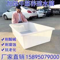 Plastic water tank rectangular thickened beef tendon large size water storage barrel for sale fish shallow basin fish turnover box Aquaculture Box