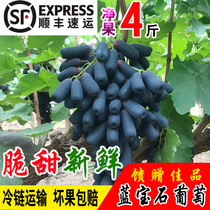 Sweet Sapphire Grape Fresh ping Beauty отсылает к Black Tie Goldfinger Grape Fresh Fresh Frer