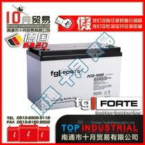German FG-FORTE battery (battery) FG12-100D 12V100AH ​​originally imported