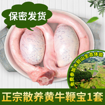 Joy Pastoral members only enjoy 1 set of bullwhips 1kg bull testicles bull eggs bull Sambo fresh scalper beef bull treasure for men