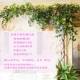 Mô phỏng cây lá cành cây nho lá giả phòng khách trong nhà cây xanh dây leo giả hoa mây trần trang trí tường - Hoa nhân tạo / Cây / Trái cây hoa hồng giả đẹp