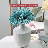 Павлин синий костюм