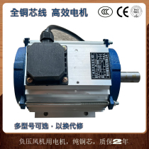 Special motor three-phase asynchronous motor pure copper wire motor for negative pressure blower