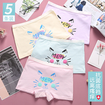 14 junior high school student underwear girl flat corner 12 cotton middle waist 16 years old middle school child fat MM girl antibacterial boxer pants