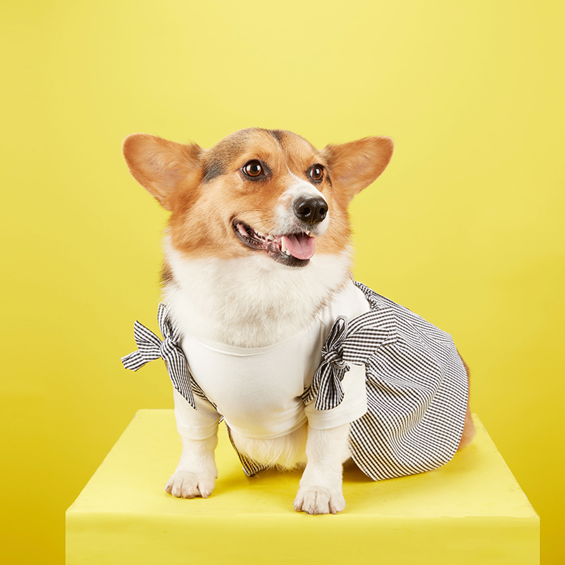 Dog clothes spring and summer dress skirt suspender skirt cute bitch skirt cotton corgi method bucket bag bomei teddy skirt