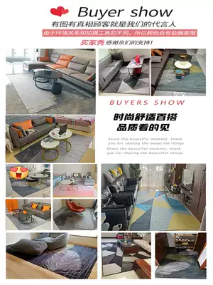 Carpet living room coffee table blanket household disposable large area full floor mat bedroom bedside carpet girl ins Nordic style
