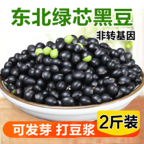 Northeast selected Green Heart small black bean grains non-genetically modified green seed soybean milk special sprouting farm home production