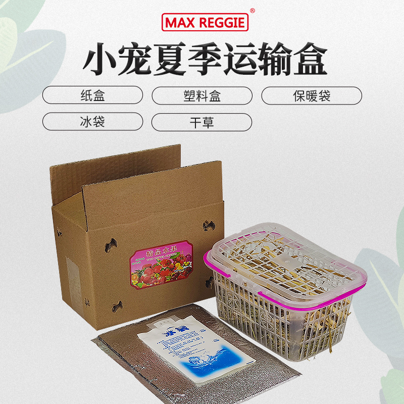 Hand Pet Box Square Transport Flowers Branches Rat Hamster Bunny Bunny Hedgehog Pet Plastic Case Transport Box Outer Band