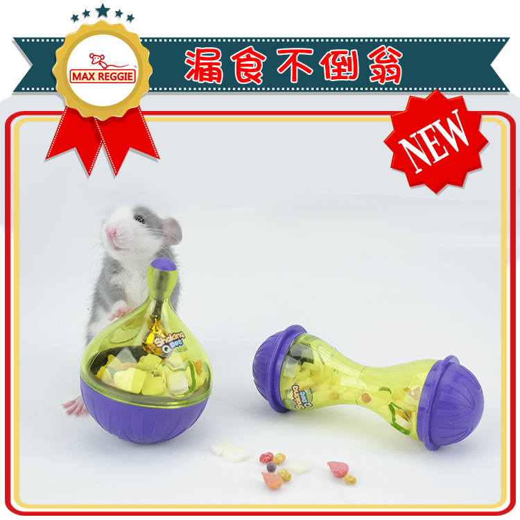 Squirrel pet training toy cat and dog tumbler leaking toy ball leaking food container cat and dog toy