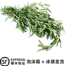 Shunfeng fresh rosemary 100g Western vegetable herbs edible spices fried steak barbecue baking ingredients