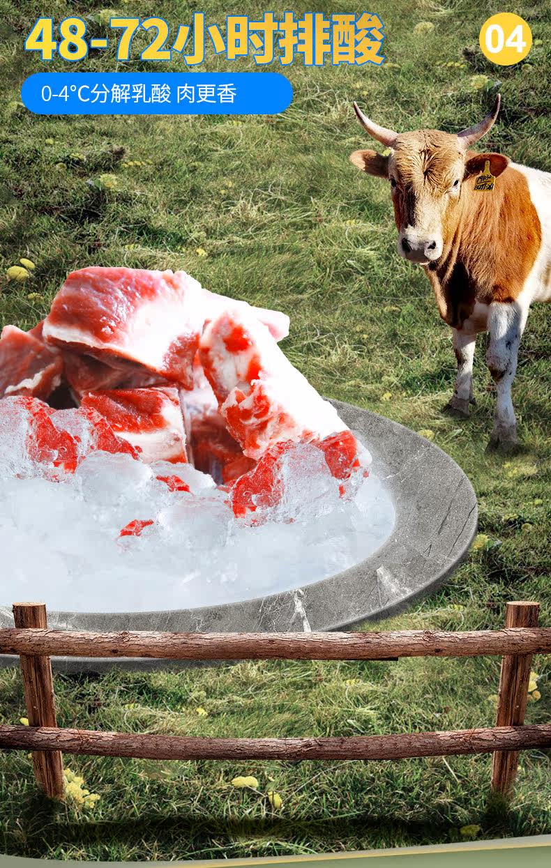 Подробная информация о органическом говяжьем хребте Brown Cow, 3 фунта (Green Tmall)_10.jpg