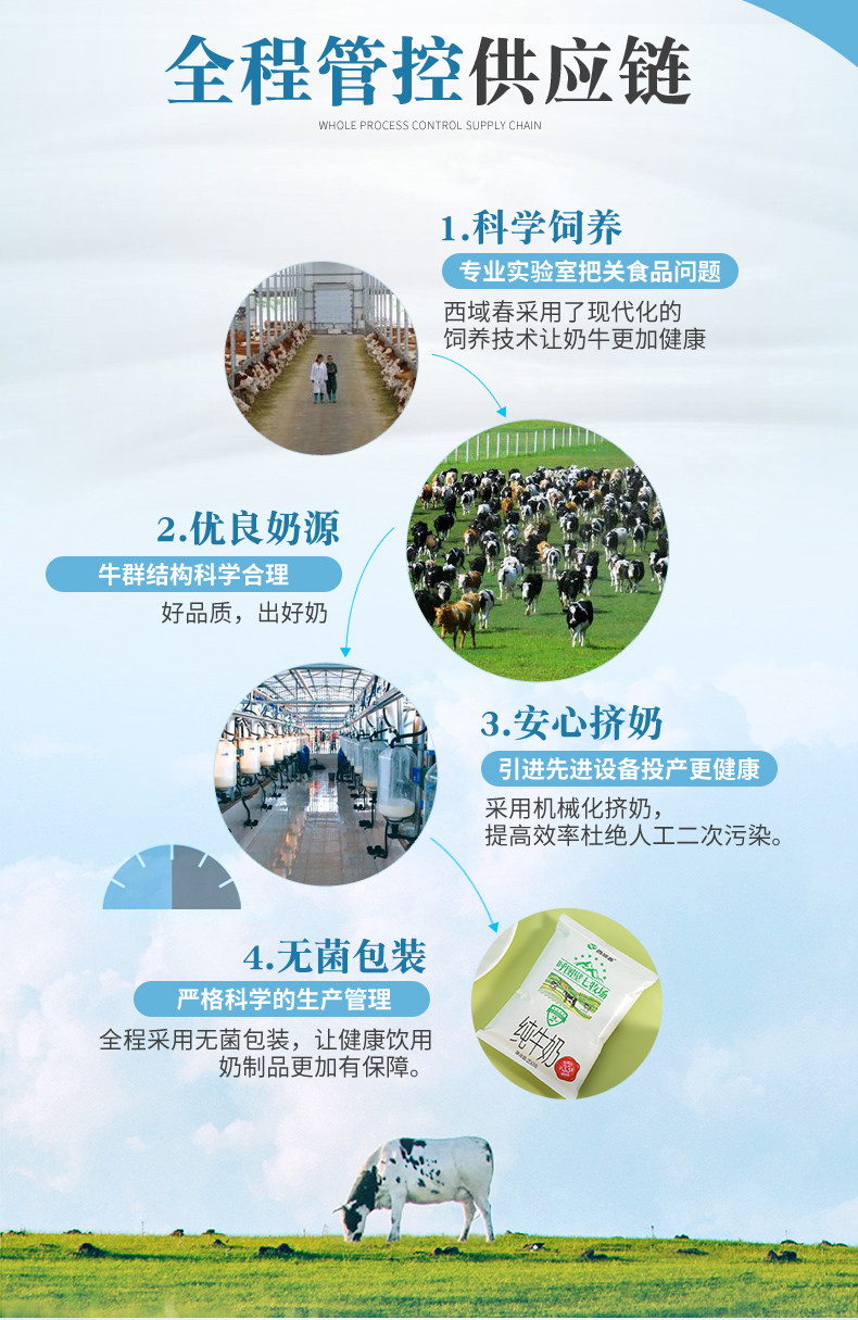 新疆西域春七牧场纯牛奶12袋 图6