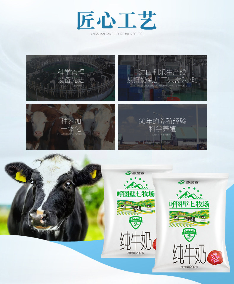 新疆西域春七牧场纯牛奶12袋 图5