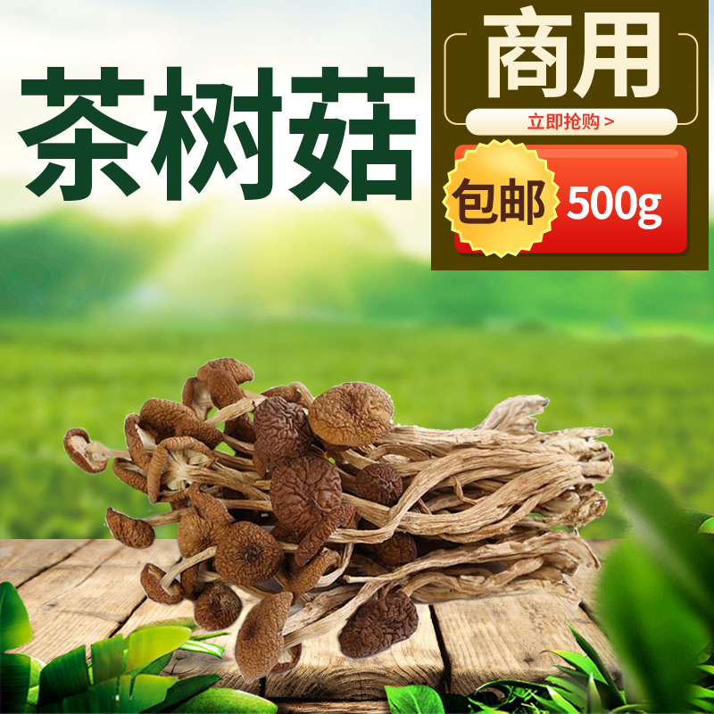 Quality Tea Tree Mushroom Sand County Snack Ingredients Stew Pot Seasoned Old Duck Soup Pork Footed Soup Pot of Soup Cooking with Aroma Ingredients 500 gr