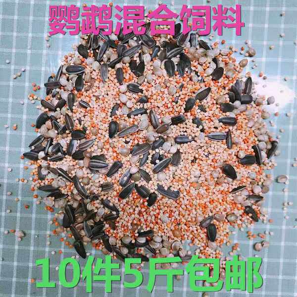 Spiny phoenix tiger skin peony parrot bird food farm exclusively