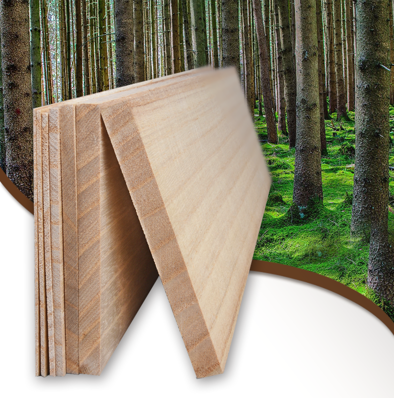 Таблетки Tongmi (1) .png