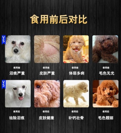 狗粮中大型成犬粮20Kg金毛萨摩通用型阿斯拉加40斤狗粮大包装100优惠券