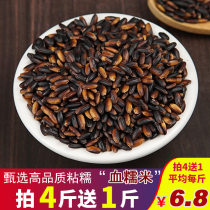 Blood glutinous rice new rice 500g farmers own authentic black glutinous rice porridge rice ball milk tea shop special non-purple rice black rice