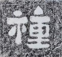 Seed Ink Tuo Cliff Inscription Tulip North Qi Monk Andau Calligraphy Temple Living-room Living-room Decorative Gars