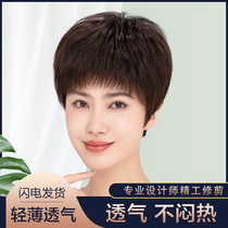 Wig Lady Short Hair Lady Middle Aged Live-action Hair Silk Mom Real Hair All-headgear Straight Hair Natural Type Wig Sleeve