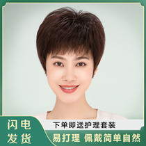 Wig Short Hair Girl Full Real Live-action Lady Middle Aged Mom Full Headgear Style Natural Fluffy Short Straight Hairstyle