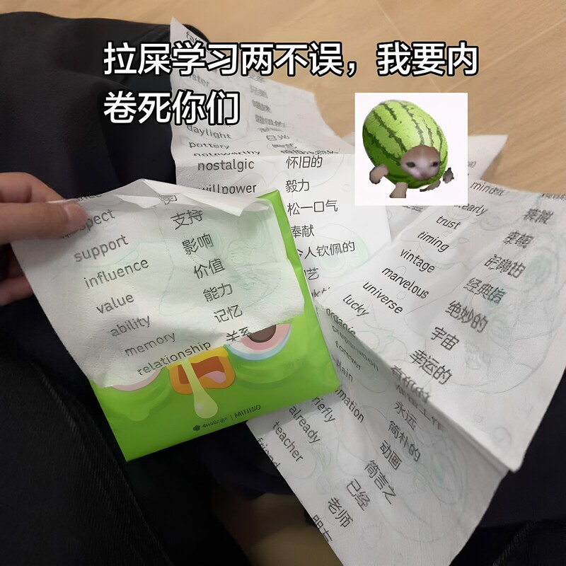 Pooping Is Fun! Special Toilet Paper for Memorizing English Vocabulary, Word Paper Towels for Top Students, Special for Cet-4 and College Entrance Exams Pooping Is Fun! Special Toilet Paper for Memorizing English Vocabulary, Word Paper Towels for Top Students, Special for Cet-4 and College Entrance Exams
