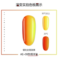 AE-09