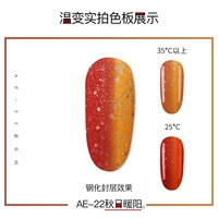 AE-22