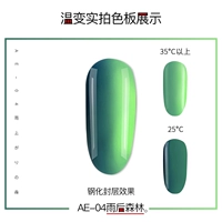 AE-04