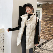 2020 autumn and winter cotton vest female long collar Korean waist by horse clip loose student vest cotton suit