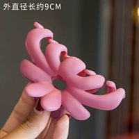 Глубокий порошок хризантема