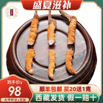 (Extra Large broken Grass)Yunlu Cordyceps Lyophilized Natural Cordyceps for self-use Big Broken festival Gift Box