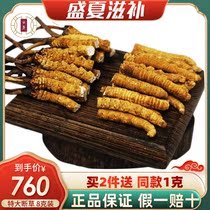(8g Extra Large)Yunlu Cordyceps Sinensis Broken Grass Lyophilized Cordyceps Sinensis Extra Large Broken Cordyceps Gift Box