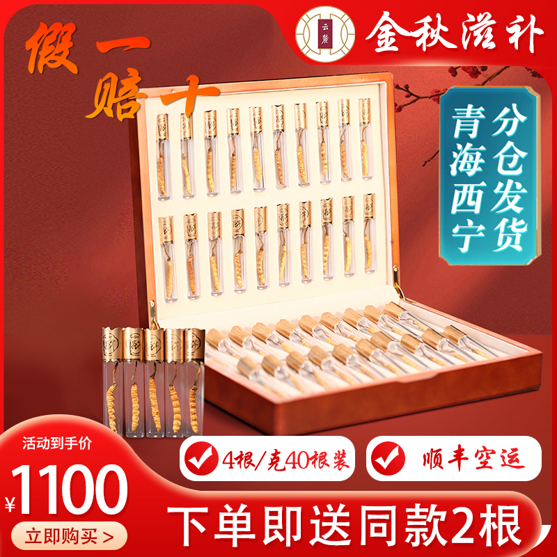 (Mid-Autumn Festival gift) Yunlu Cordyceps first stage freeze-dried Cordyceps 4 pieces 10g crystal tube 40 pieces