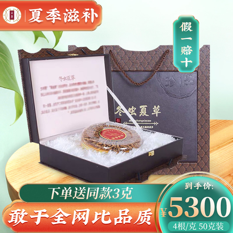 (Gifts in gift) Cloud foothills Caterpillar Fungus 50 gr Head Period Freeze-dried New Caterpillar Fungus 4 Roots of Caterpillar Fungus Dry Goods