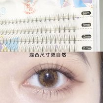 Knock a practical box of 5 sizes dream deer false eyelashes natural simulation sandwich single cluster hair fairy hair Monroe