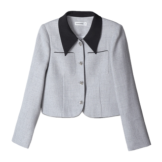 French-Style Lapel Chanel-Style Jacket for Petite Women, New Spring and Autumn 2024, High-End, Elegant, and Stylish Short Jacket