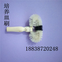 Petri dish brush Laboratory cleaning brush special custom all kinds of brushes complete specifications