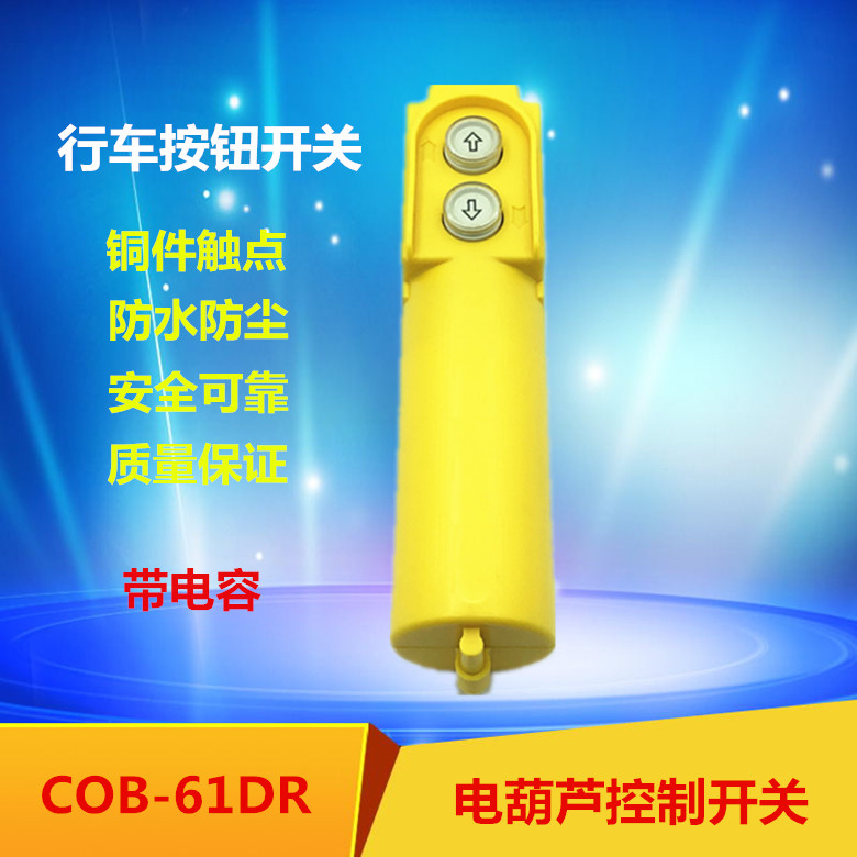 COB-61R (COP-21R) 30UF Driving switch electric crane COB-61DR with capacitor